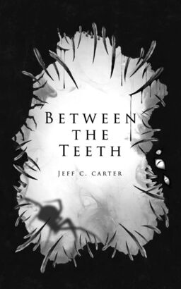 betweentheteethcover small.jpg